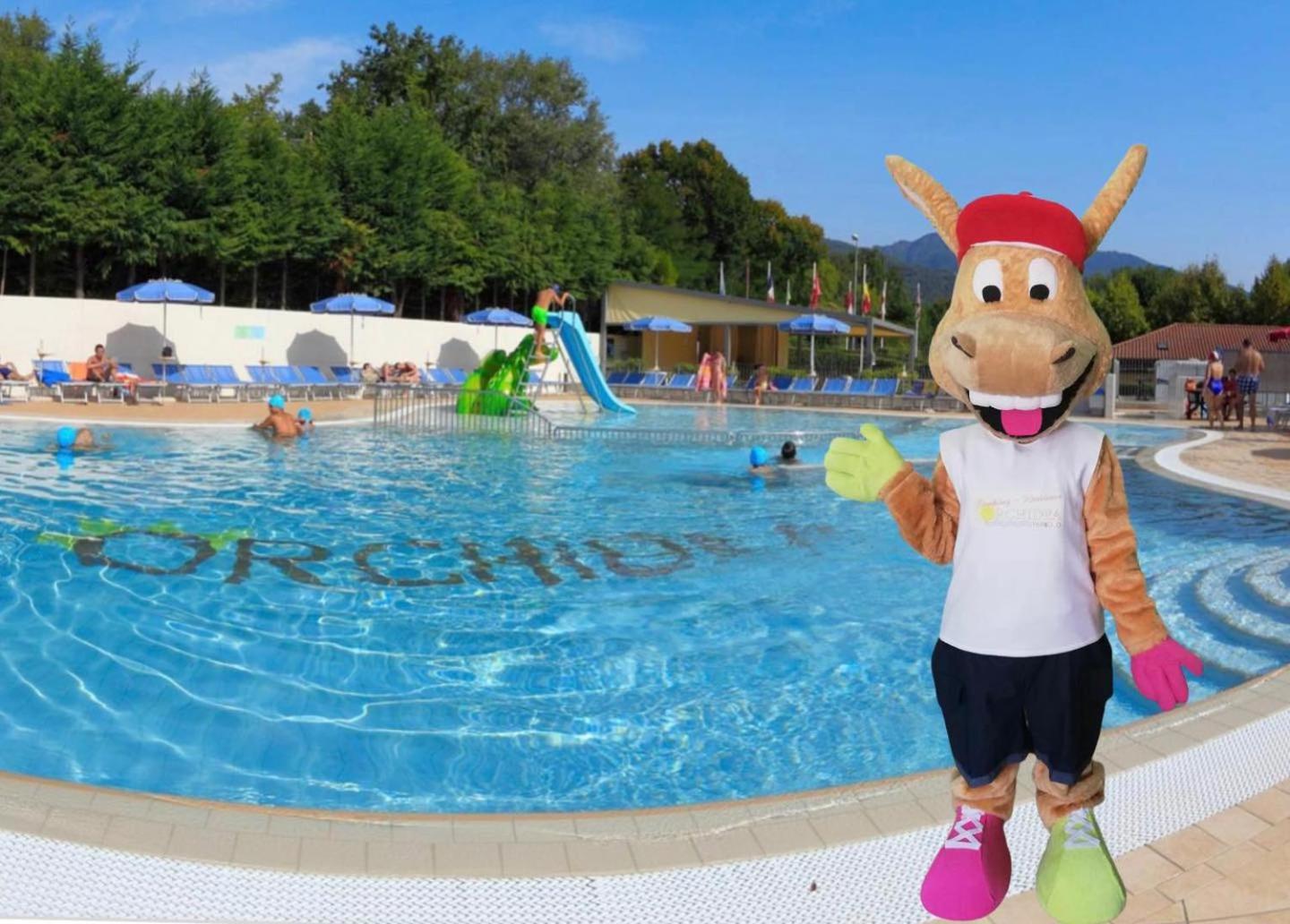 Camping Residence & Lodge Orchidea Baveno Esterno foto